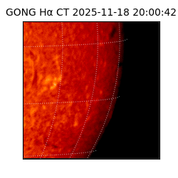 gong - 2025-11-18T20:00:42