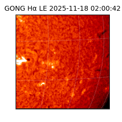 gong - 2025-11-18T02:00:42