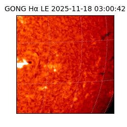 gong - 2025-11-18T03:00:42