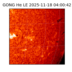gong - 2025-11-18T04:00:42