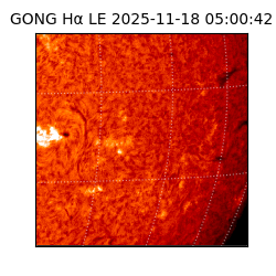 gong - 2025-11-18T05:00:42