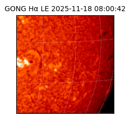 gong - 2025-11-18T08:00:42