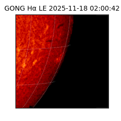 gong - 2025-11-18T02:00:42