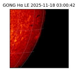 gong - 2025-11-18T03:00:42