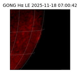 gong - 2025-11-18T07:00:42