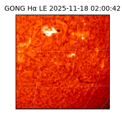 gong - 2025-11-18T02:00:42