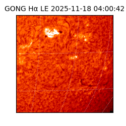 gong - 2025-11-18T04:00:42