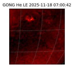 gong - 2025-11-18T07:00:42