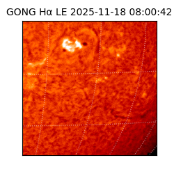 gong - 2025-11-18T08:00:42