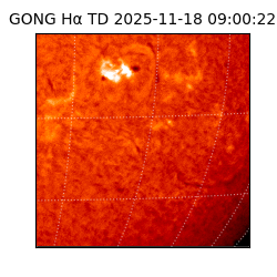 gong - 2025-11-18T09:00:22