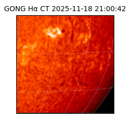 gong - 2025-11-18T21:00:42