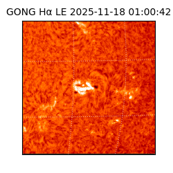 gong - 2025-11-18T01:00:42