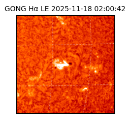 gong - 2025-11-18T02:00:42