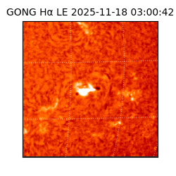 gong - 2025-11-18T03:00:42