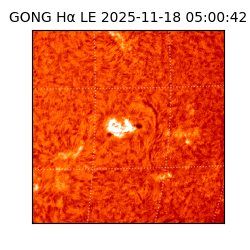 gong - 2025-11-18T05:00:42