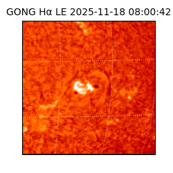 gong - 2025-11-18T08:00:42