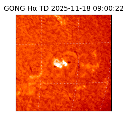 gong - 2025-11-18T09:00:22