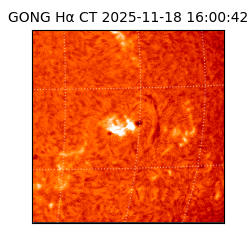 gong - 2025-11-18T16:00:42