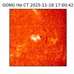 gong - 2025-11-18T17:00:42