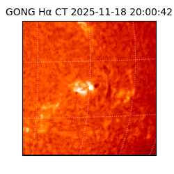 gong - 2025-11-18T20:00:42