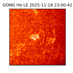 gong - 2025-11-18T23:00:42