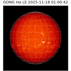 gong - 2025-11-18T01:00:42