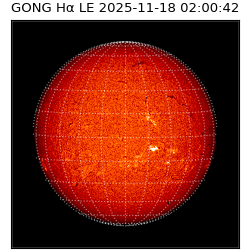 gong - 2025-11-18T02:00:42