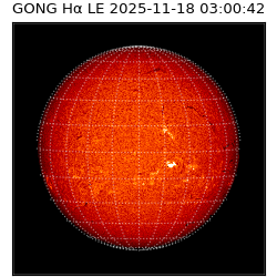gong - 2025-11-18T03:00:42