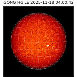 gong - 2025-11-18T04:00:42