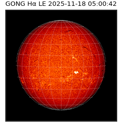 gong - 2025-11-18T05:00:42
