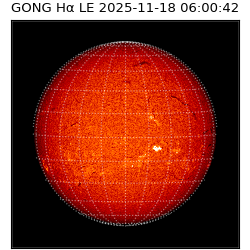 gong - 2025-11-18T06:00:42