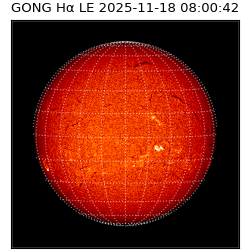 gong - 2025-11-18T08:00:42