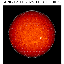 gong - 2025-11-18T09:00:22