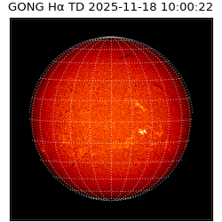 gong - 2025-11-18T10:00:22