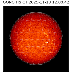 gong - 2025-11-18T12:00:42