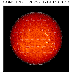 gong - 2025-11-18T14:00:42