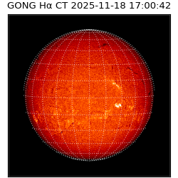 gong - 2025-11-18T17:00:42