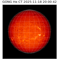 gong - 2025-11-18T20:00:42