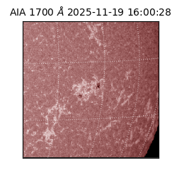 saia - 2025-11-19T16:00:28.721000