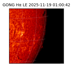 gong - 2025-11-19T01:00:42