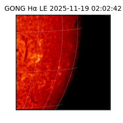 gong - 2025-11-19T02:02:42