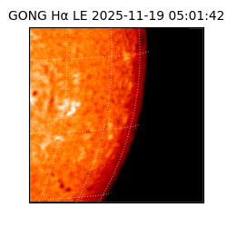 gong - 2025-11-19T05:01:42