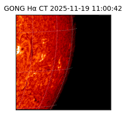 gong - 2025-11-19T11:00:42
