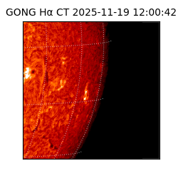 gong - 2025-11-19T12:00:42