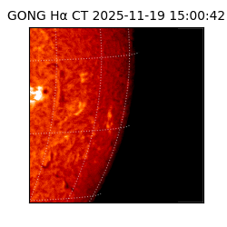 gong - 2025-11-19T15:00:42