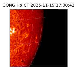 gong - 2025-11-19T17:00:42