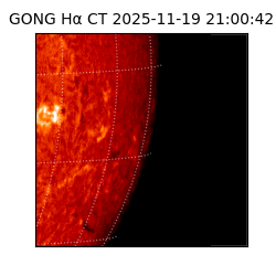 gong - 2025-11-19T21:00:42