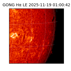gong - 2025-11-19T01:00:42