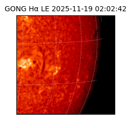 gong - 2025-11-19T02:02:42