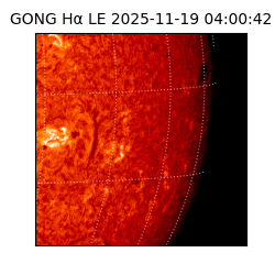 gong - 2025-11-19T04:00:42